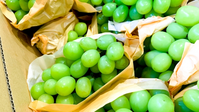 シャインマスカット