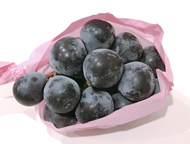 ナガノパープル