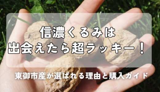 信濃くるみは出会えたら超ラッキー！東御市産が選ばれる理由と購入ガイド
