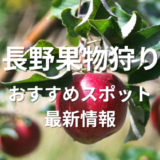 長野果物狩り