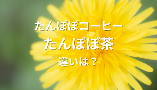 たんぽぽコーヒーとたんぽぽ茶：違いとそれぞれの魅力に迫る！