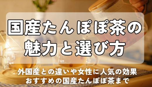 国産たんぽぽ茶の魅力と選び方｜外国産との違いや女性に人気の効果まで