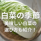白菜の季節