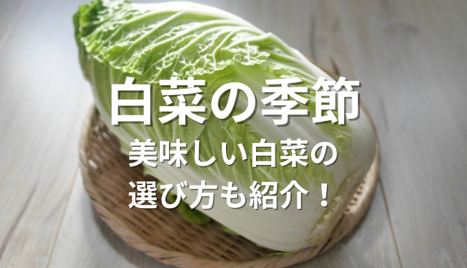 白菜の季節