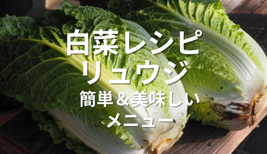 白菜レシピ リュウジから学ぶ！白菜を使った簡単＆美味しいメニュー