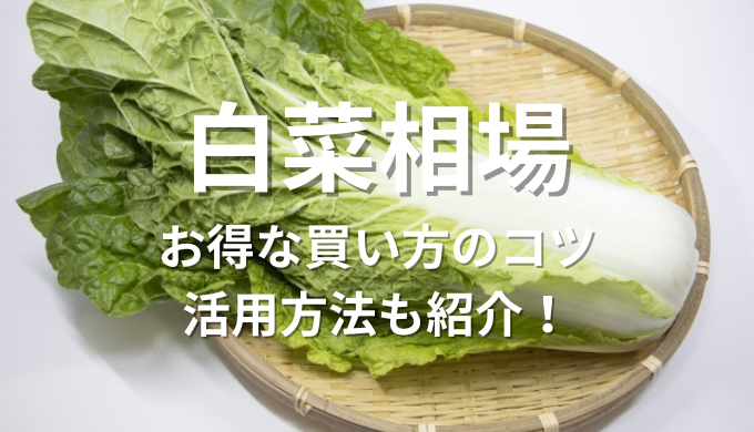白菜相場