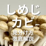 しめじカビ