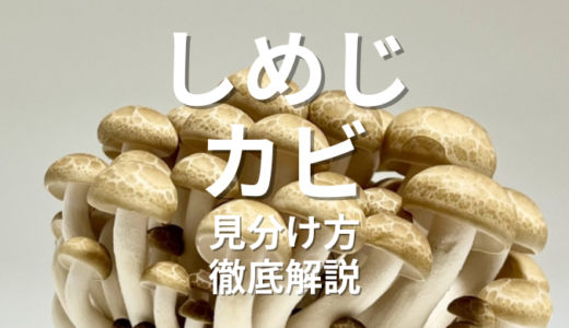 しめじの白いふわふわはカビ？食べられる？プロが教える見分け方と保存術