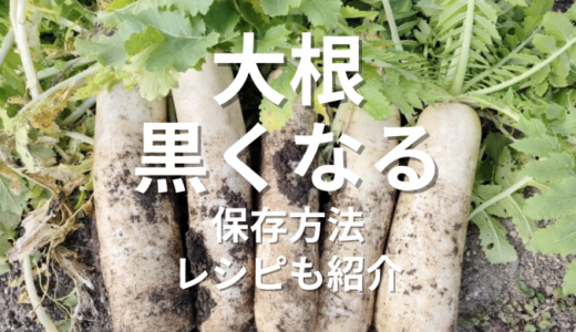 【大根黒くなる】食べても安全？原因と保存方法からレシピまで紹介！