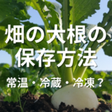 畑の大根の保存方法