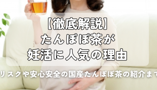 【徹底解説】たんぽぽ茶が妊活に人気の理由｜リスクや安心安全の国産たんぽぽ茶の紹介まで