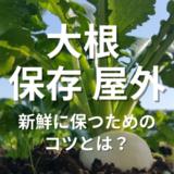 大根保存屋外