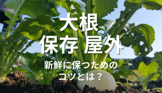 大根 保存 屋外：長期間新鮮に保つためのコツとは？
