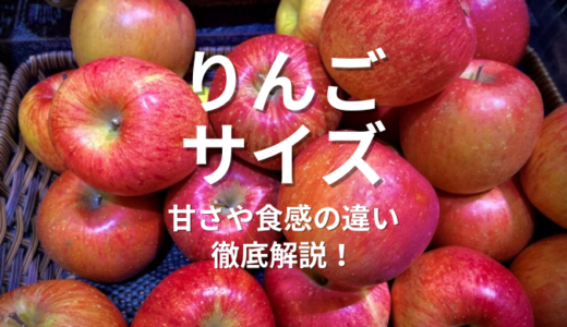 りんごのサイズ別特徴や失敗しない選び方｜大きい・小さいで味も変わる！長野県青果会社が教えます