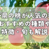 長野県の桃が人気の理由｜おすすめの種類や特徴・旬も解説