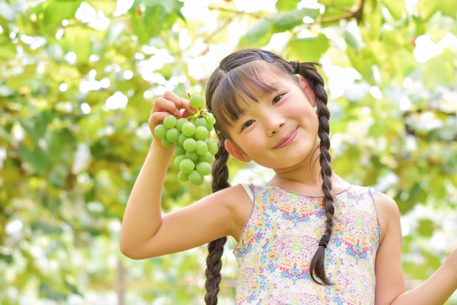 長野ならでは！子供が喜ぶ自然体験