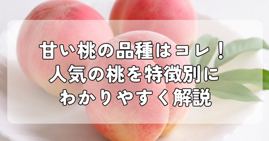【桃②甘い系】 甘い桃の品種はコレ！人気の桃を特徴別にわかりやすく解説 | 農家直売
