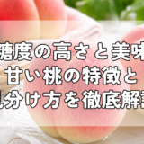 【桃の糖度の高さと美味しさ】甘い桃の特徴と見分け方を徹底解説
