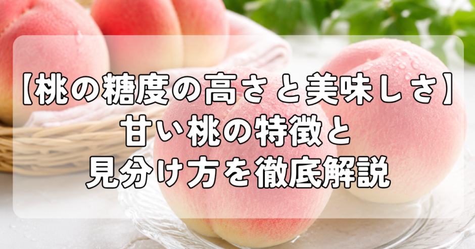 【桃の糖度の高さと美味しさ】甘い桃の特徴と見分け方を徹底解説