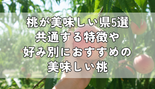 桃が美味しい県5選｜共通する特徴や好み別におすすめの美味しい桃