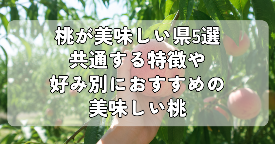 桃が美味しい県5選｜共通する特徴や好み別におすすめの美味しい桃
