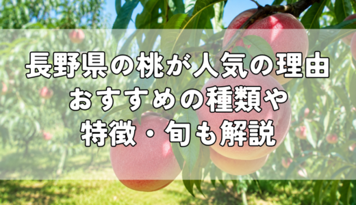 長野県の桃が人気の理由｜おすすめの種類や特徴・旬も解説