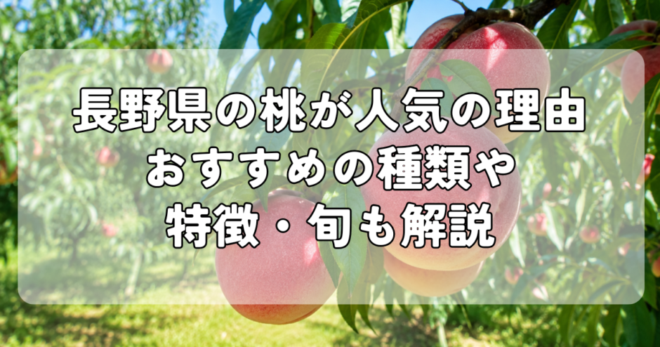 長野県の桃が人気の理由｜おすすめの種類や特徴・旬も解説