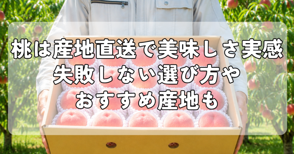 桃は産地直送で美味しさを実感｜失敗しない選び方やおすすめ産地も