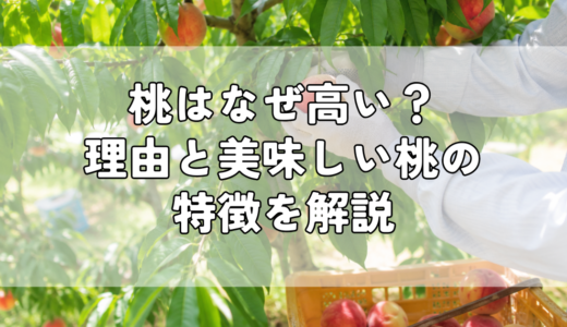 桃はなぜ高い？理由と美味しい桃の特徴を解説