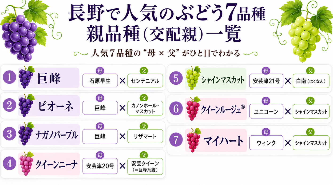 長野のぶどう人気の品種