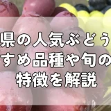 長野ぶどうおすすめ7選