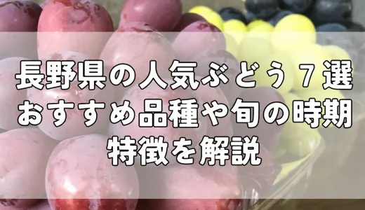 長野県の人気ぶどう7選｜おすすめ品種や旬の時期、特徴を解説