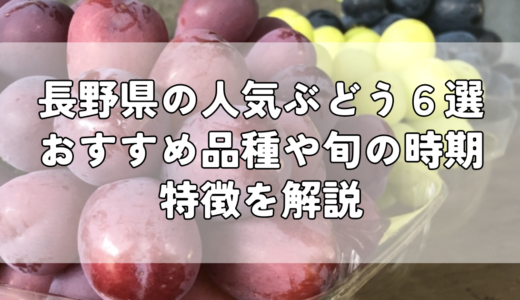 長野県の人気ぶどう６選｜おすすめ品種や旬の時期、特徴を解説