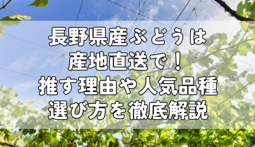 長野県産ぶどうは産地直送で！推す理由や人気品種・選び方を徹底解説