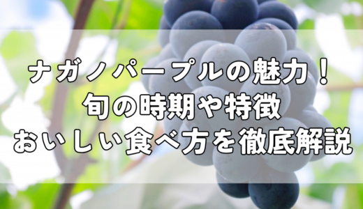 ナガノパープルの魅力！旬の時期や特徴、おいしい食べ方を徹底解説